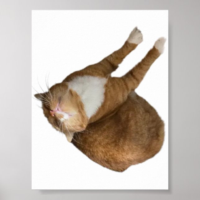 Sonnenschein auf dem Kopf Poster (Vorne)