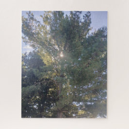 Sonnenschein durch das Baum-Jigsaw-Puzzle