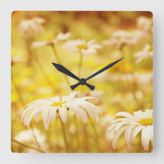 Sonnenschein-Gänseblümchen-BlumenWanduhr Quadratische Wanduhr
