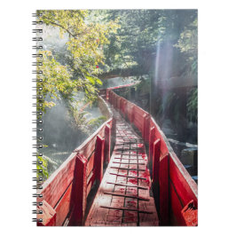 Sonnenschein in den Termas Geometrien, Conaripe, C Notizblock