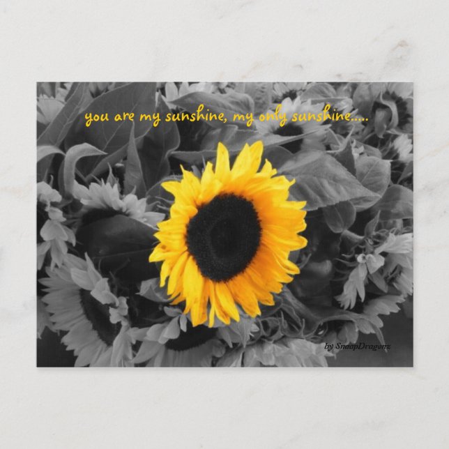 Sonnenschein-Postkarte Postkarte (Vorderseite)