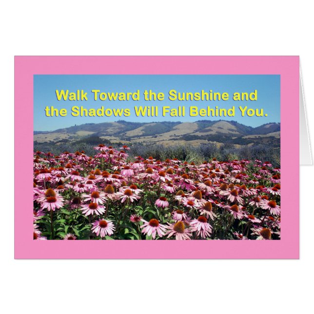 Sonnenschein- und Schattenkarte (Vorderseite (Horizontal))