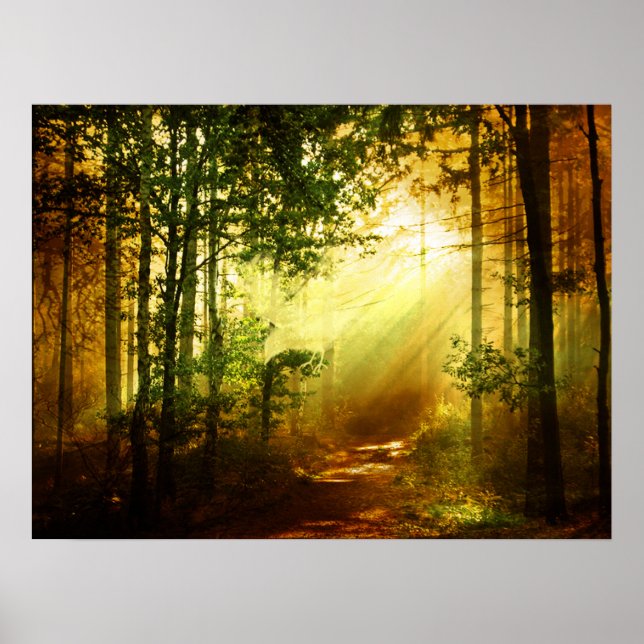 Sonnenschein-Vogel Poster (Vorne)