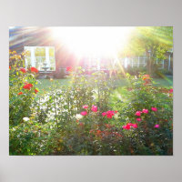 SONNENSCHIRM UND ROSE-Poster