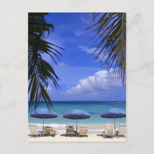 Sonnenschirme am Strand, St. Maarten, Karibik Postkarte