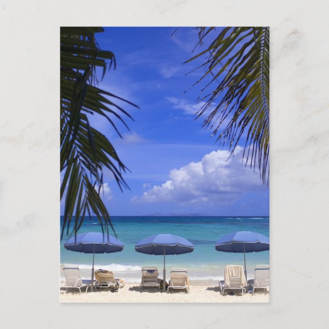 Sonnenschirme am Strand, St. Maarten, Karibik Postkarte (Vorderseite)