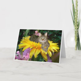 Sonnenseite der Straße Karte