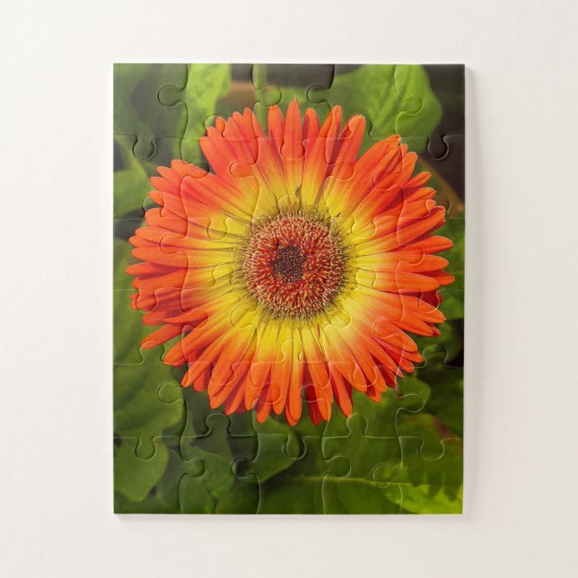 Sonnenstrahl Gerbera | Alzheimer-Denkmal (Vertikal)