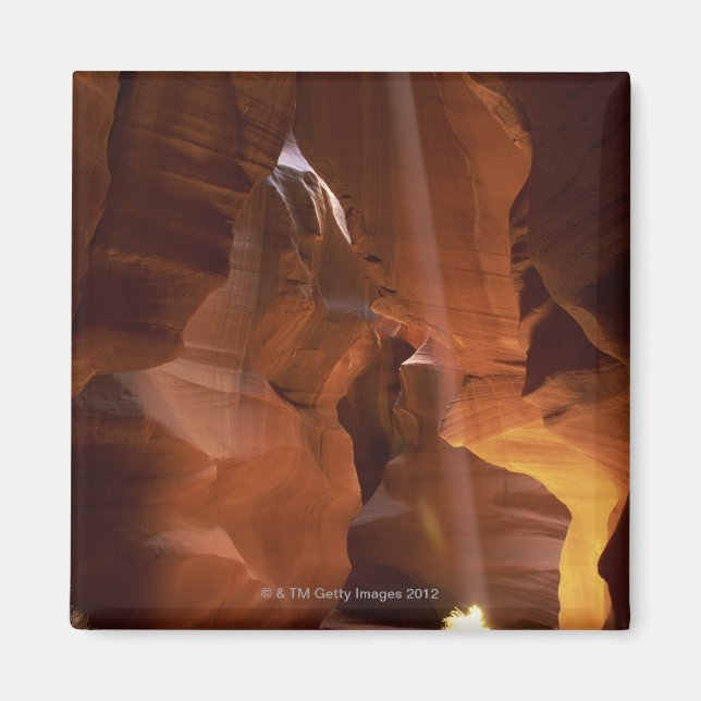 Sonnenstrahlen auf dem Canyon-Boden Magnet (Vorne)