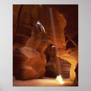 Sonnenstrahlen auf dem Canyon-Boden Poster