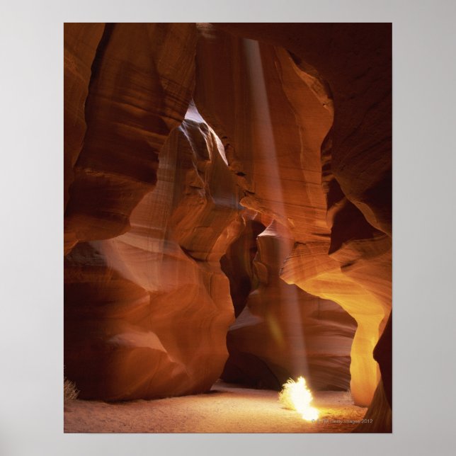 Sonnenstrahlen auf dem Canyon-Boden Poster (Vorne)