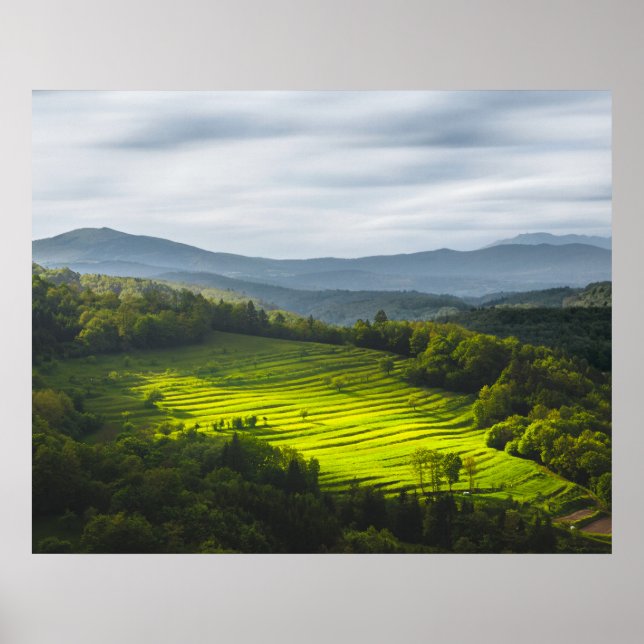 Sonnenstrahlen auf Terrassen Poster (Vorne)