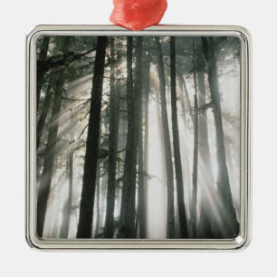 Sonnenstrahlen durch Bäume scheinend, Mount Rainie Silbernes Ornament