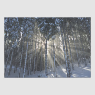 Sonnenstrahlen durch den Winterschneewald Seidenpapier
