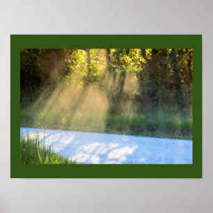 Sonnenstrahlen durch die Bäume Poster
