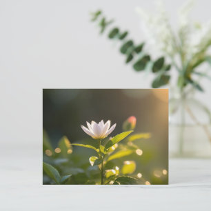 Sonnenstrahlen, Hallo Frühling, Postkreuzen Postkarte