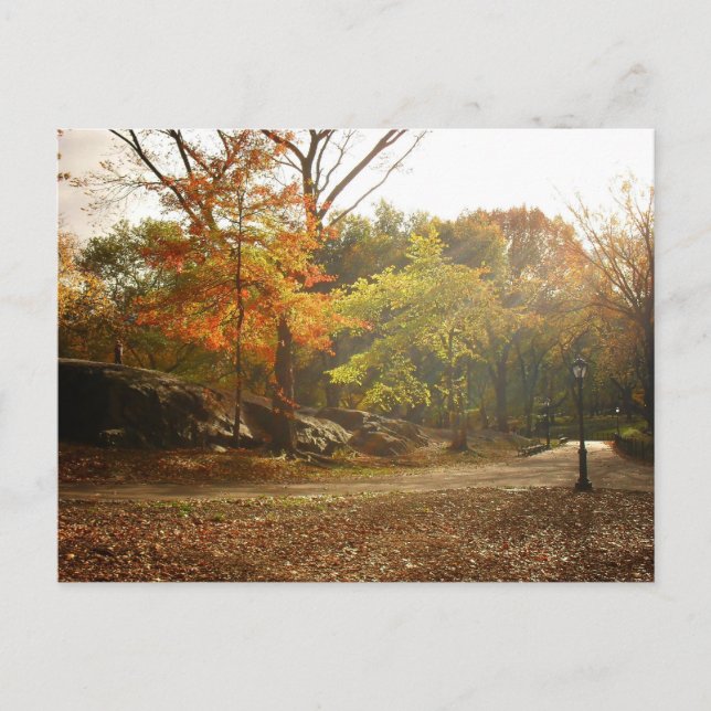 Sonnenstrahlen im Herbst, Zentralpark, New York Ci Postkarte (Vorderseite)