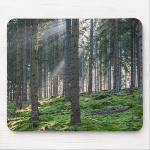 Sonnenstrahlen im Schwarzwald Mousepad
