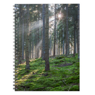 Sonnenstrahlen im Schwarzwald Notizblock