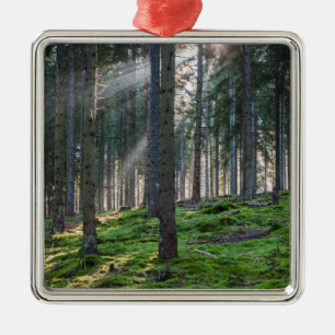 Sonnenstrahlen im Schwarzwald Ornament Aus Metall