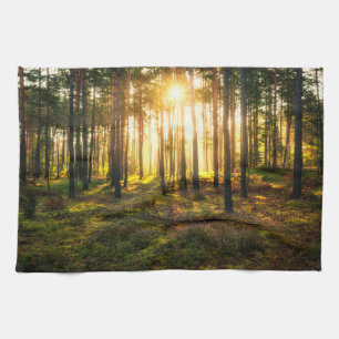Sonnenstrahlen leuchten im Kiefernwald Geschirrtuch