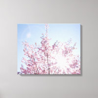 Sonnenstrahlen passieren durch rosa Blume eines Ba