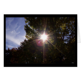 Sonnenstrahlen (schwarz grenzend)