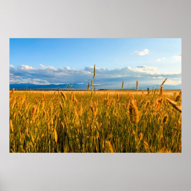 Sonnenstrahlen über Weizenfeld mit Bergen Poster (Vorne)