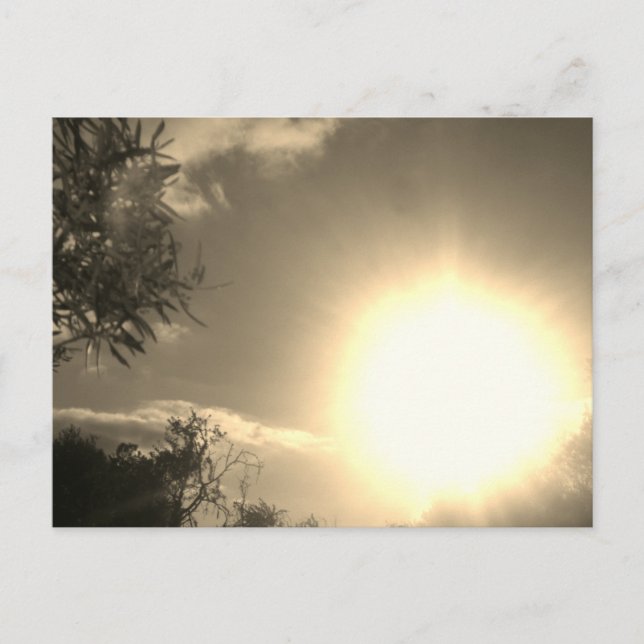 Sonnenstudio-Design der Postkarte (Vorderseite)