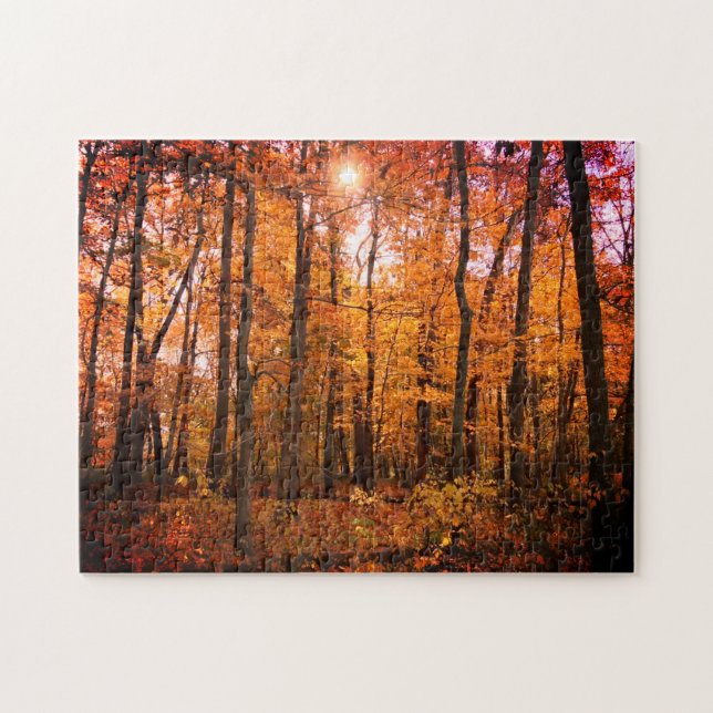 Sonnensturmholz (Horizontal)