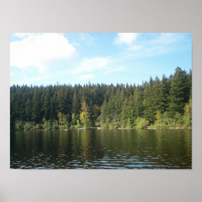 Sonnentag am Paddensee Poster (Vorne)
