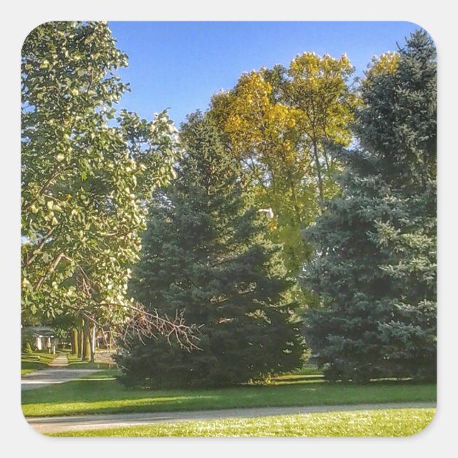 Sonnentag im Park Quadratischer Aufkleber (Vorderseite)