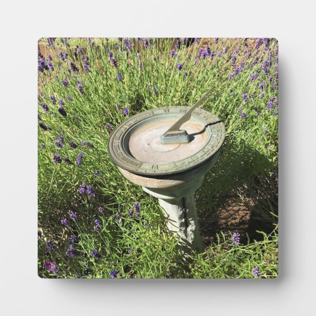 Sonnenuhr in Lavendel Fotoplatte (Vorderseite)