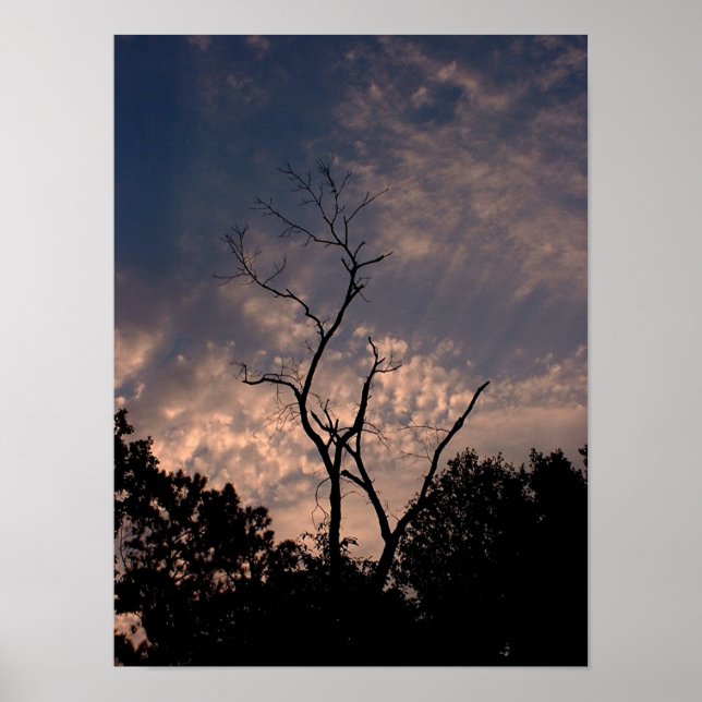 Sonnenuntergang 18 poster (Vorne)