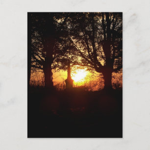 Sonnenuntergang am Friedhof Postkarte