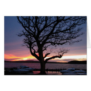 Sonnenuntergang am Hafen