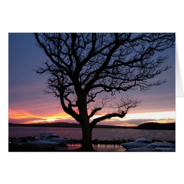 Sonnenuntergang am Hafen (Vorderseite (Horizontal))