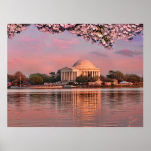 Sonnenuntergang am Jeferson Memorial mit Kirschblü Poster