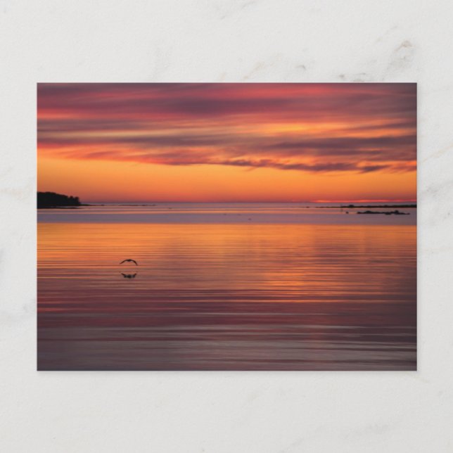 Sonnenuntergang am Meer, Finnland CC0157 Postkarte (Vorderseite)