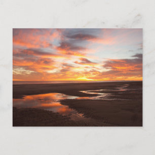 Sonnenuntergang am Meer von Cortez Postkarte