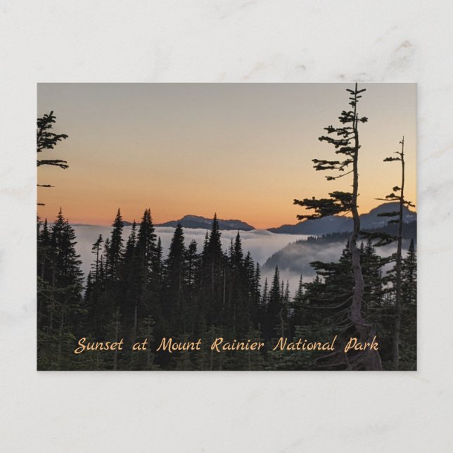 Sonnenuntergang am Rainier Postard Postkarte (Vorderseite)