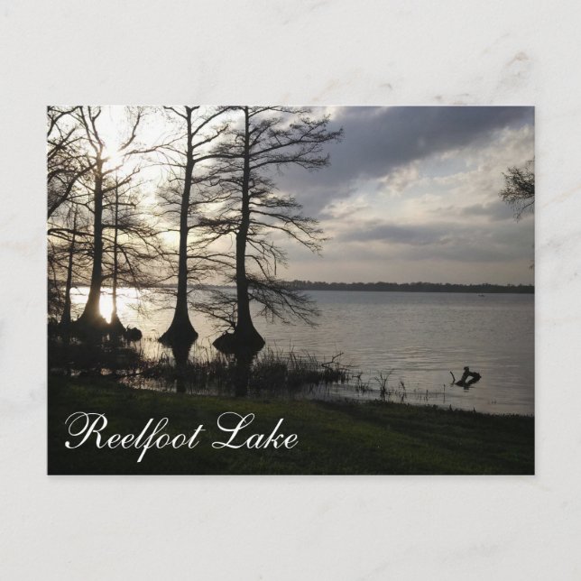 Sonnenuntergang am Reelfoot Lake Postkarte (Vorderseite)