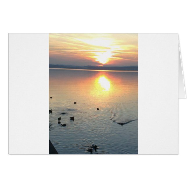 Sonnenuntergang am See mit Enten (Vorderseite (Horizontal))