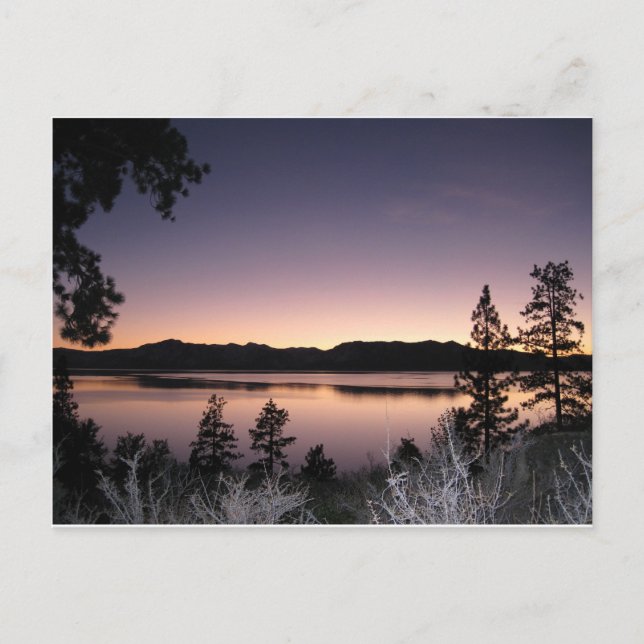 Sonnenuntergang am See Tahoe Postkarte (Vorderseite)