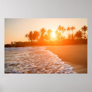 Sonnenuntergang am Strand mit Kokospalmen Sri La Poster