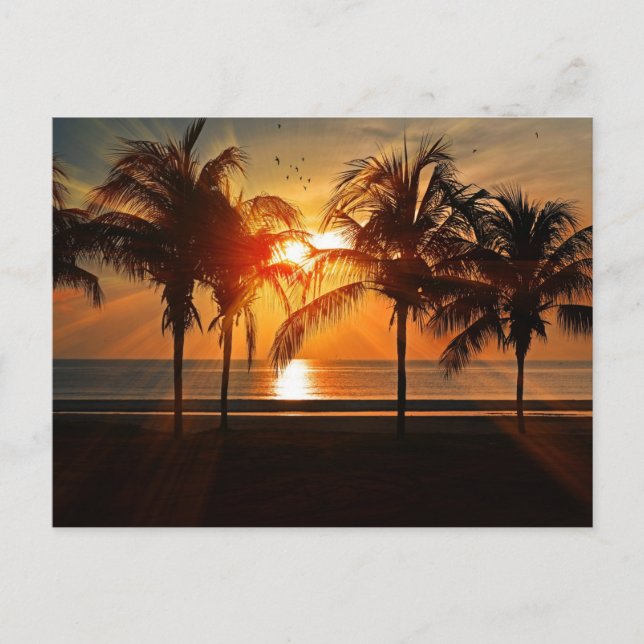 Sonnenuntergang am Strand, tropische Landschaft, Postkarte (Vorderseite)