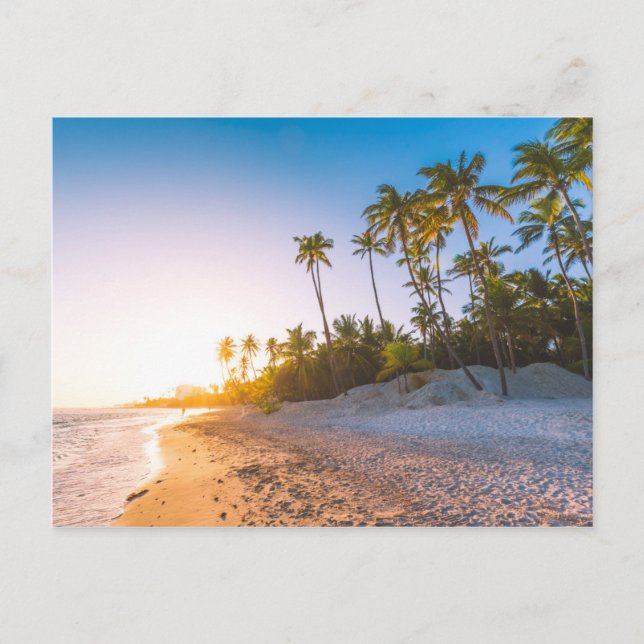 Sonnenuntergang am Strand von Tropical | Dominikan Postkarte (Vorderseite)