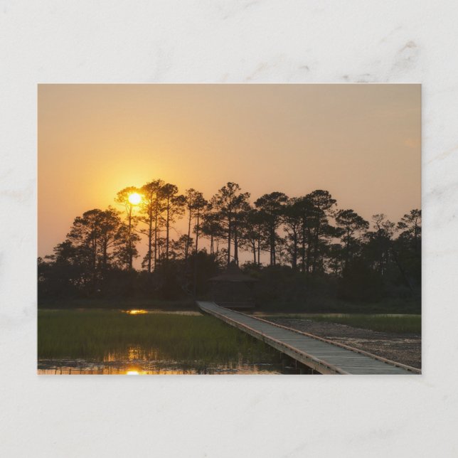 Sonnenuntergang an der Küste von Carolina Postkarte (Vorderseite)