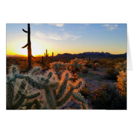 Sonnenuntergang Arizona Sonoran Wüste mit Saguaro 