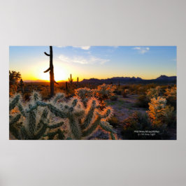 Sonnenuntergang Arizona Sonoran Wüste mit Saguaro  Poster